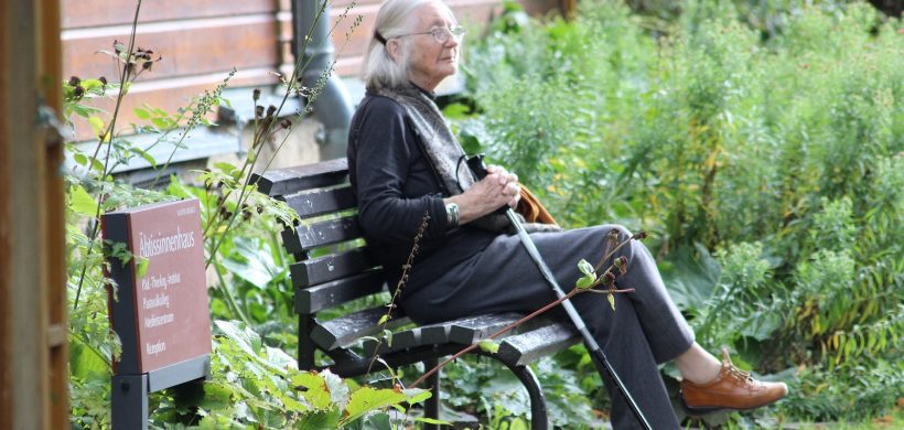 Promotores de reserva cognitiva en adultos mayores con alto riesgo de demencia cortical